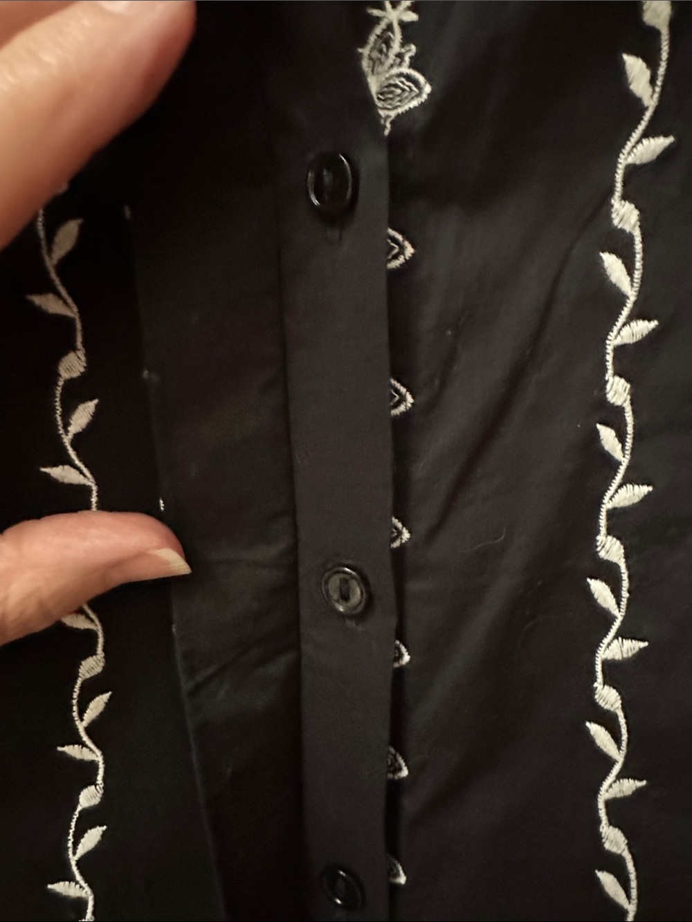 Anne Carson Black Dress with White Embroidered Stripes - Picture 11 of 15